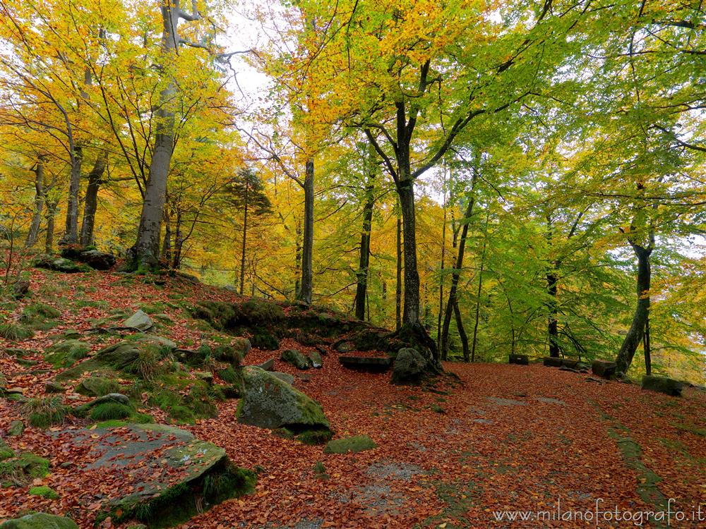 Biella, Italy - Autumn colors in the "walk of the priests" behind the Sanctuary of Oropa